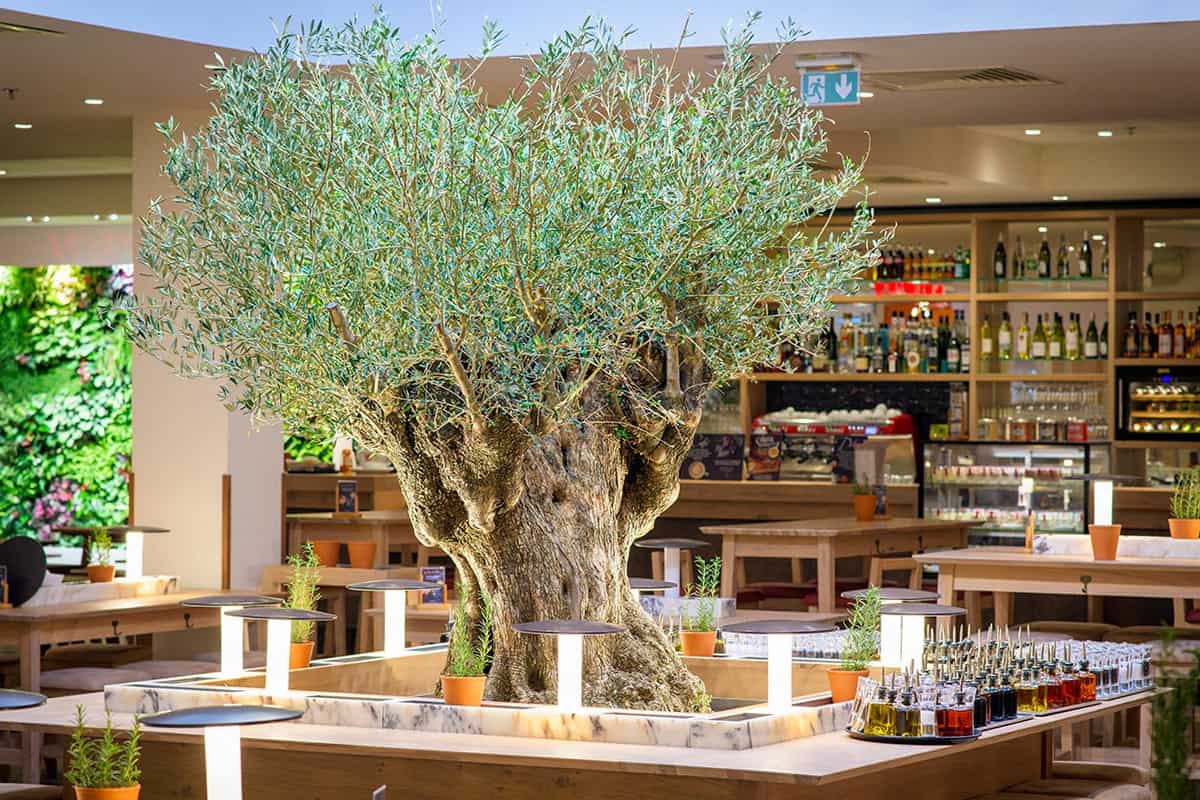 SHOPPING PROMENADE Vapiano Restaurant de pates