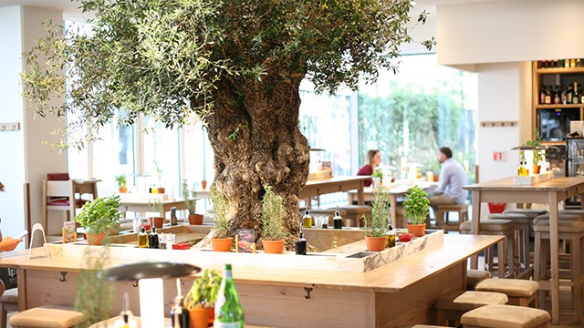 Vapiano Restaurant Italien BATIGNOLLES